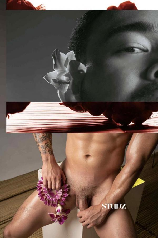 STUDZ-01--Zesty--Ebook--Video-